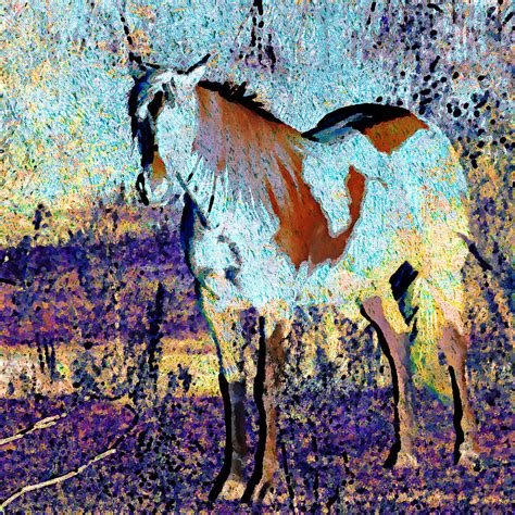 Pinto Horse Digital Art by Cassie Peters - Fine Art America