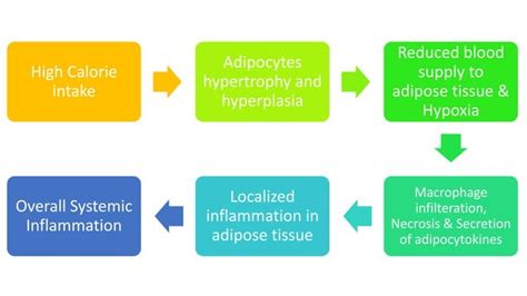 Metabolic syndrome & its complications