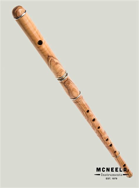 The Irish Cocuswood Flute with Foam Lined Box | Wooden flute, Irish ...