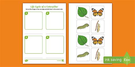 Caterpillar Life Cycle Cut and Stick Worksheet EYFS - Twinkl