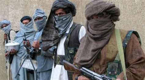 Pak government's talks with Tehreek-e-Taliban Pakistan come to a halt ...