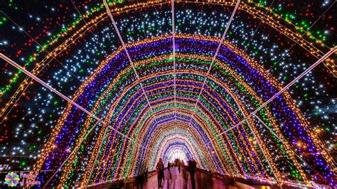 festival of lights - The complete guides to all fesrivals