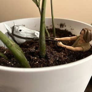 Atreyu & Artax Planter Decoration UNPAINTED the - Etsy