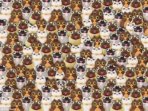 Take A Look at This Puzzle…Can You Spot the Cat? It’s Not So Easy as It Seems