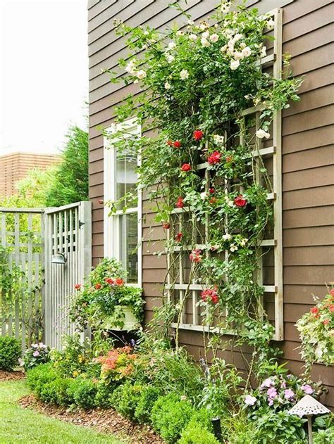 30+ DIY Trellis Ideas for Your Garden 2022