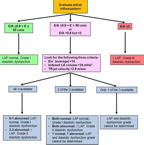 Echocardiogram Report