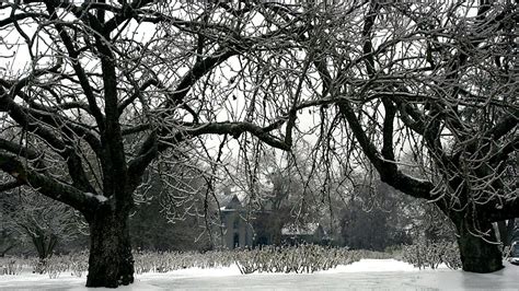 Storm could bring snow, freezing rain to Portland, Salem, Eugene