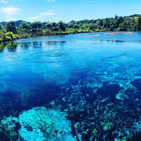 Te Waikoropupu Springs (Pupu Springs) South Island | Tickets & Tours - Tripadvisor