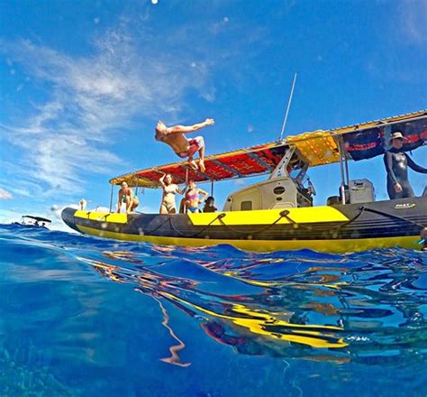 Maui Snorkel Charters (Kihei) - All You Need to Know Before You Go - TripAdvisor