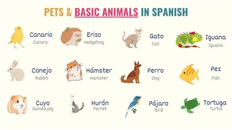 Animals in Spanish: List of 100+ Farm, Wild & Sea Animals