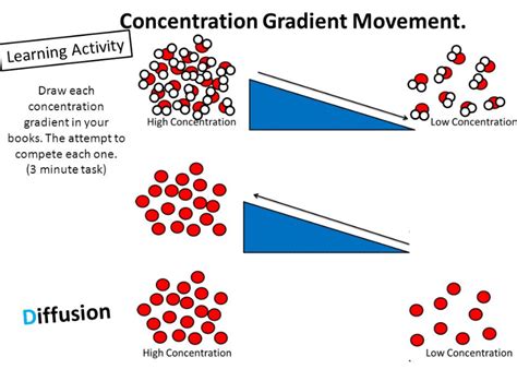 What Is a Correlational Study And Examples of correlational research - Get Education Crunch