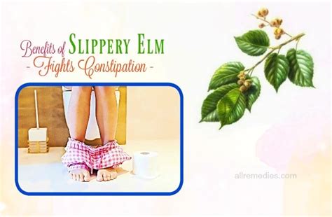 10 Health Benefits Of Slippery Elm Bark, Herb You Should Not Miss