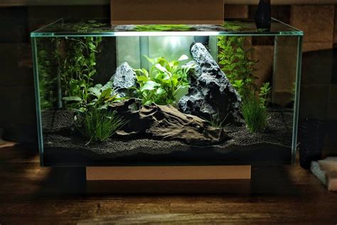 New fluval edge 23l. No fish/shrimp added yet. : Aquariums | Fish tank terrarium, Amazing ...