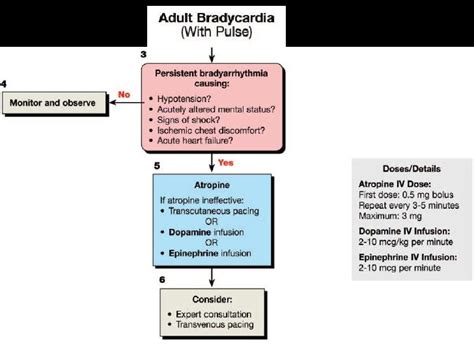 Management of bradycardia