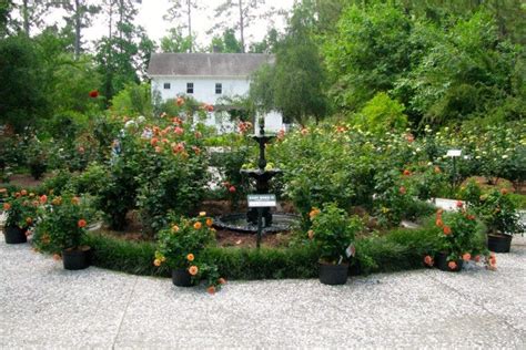 Savannah Botanical Gardens: Savannah Attractions Review - 10Best ...