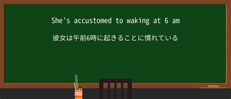 accustomを徹底解説！意味、使い方、例文、読み方