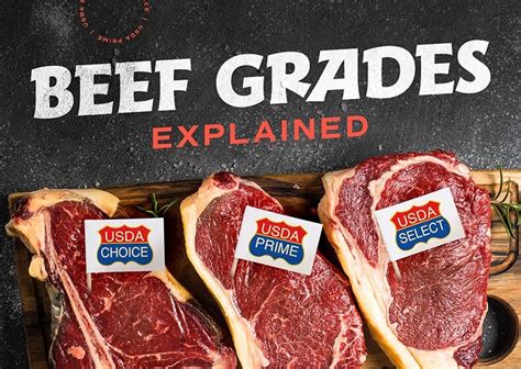 Explaining Beef Grades: What are They & What do They Mean?