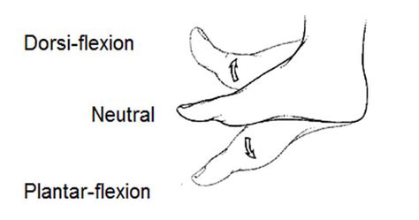 Referencing Movements Of The Foot And Hand | Sydney Physio Clinic