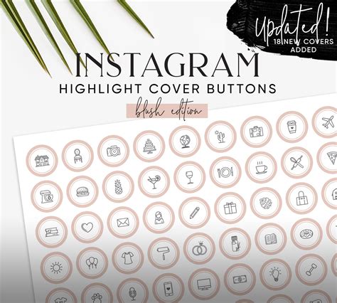 132 Blush Instagram Highlight Covers | Creative Instagram Templates ...