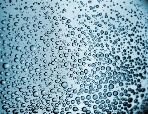 bubbles_texture Free Photo Download | FreeImages