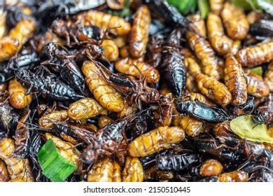 Fried Insects Bugs Fried On Street Stock Photo 2150510445 | Shutterstock