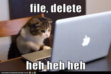 file, delete heh heh heh - Lolcats - lol | cat memes | funny cats ...