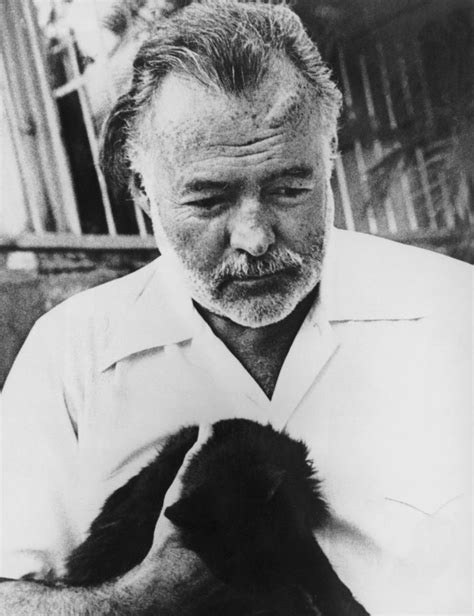 26 Interesting Vintage Photos of Ernest Hemingway With His Beloved Cats ...