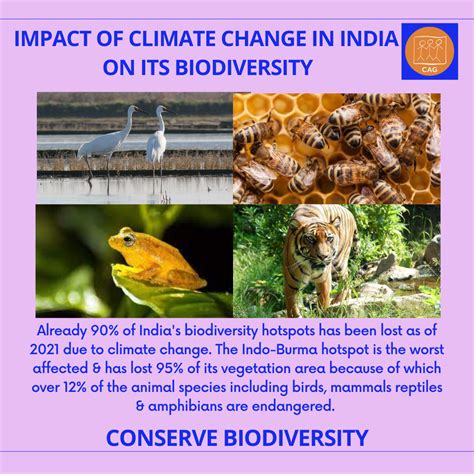 Climate Change - Impact on biodiversity | CAG