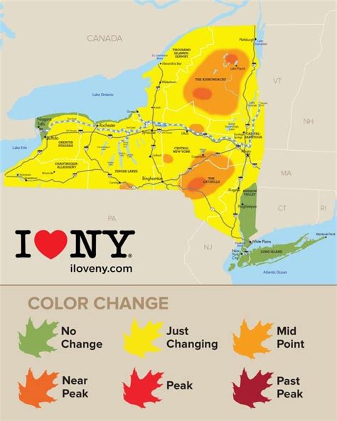 Fall Foliage Nearing Peak in Higher Elevations - Adirondack Explorer