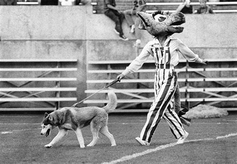 Flashback feature: NC State’s mascot then and now | | technicianonline.com