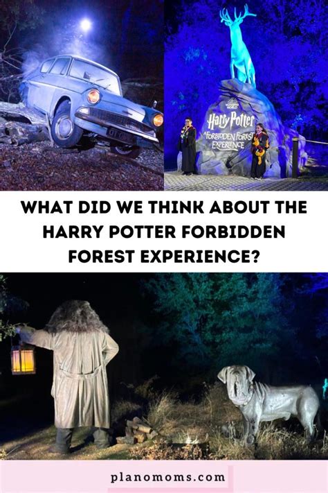 What We Thought About The Harry Potter Forbidden Forest Experience!