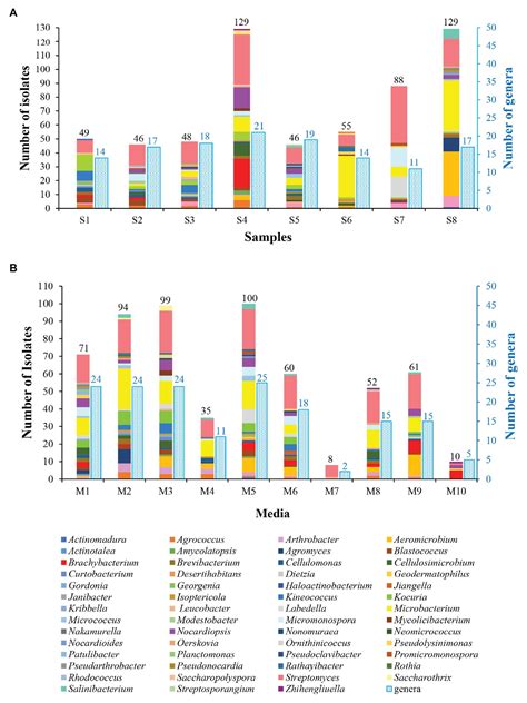 Frontiers | Bioprospecting of Soil-Derived Actinobacteria Along the ...