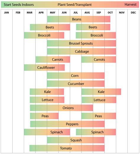 Zone 6 Planting Calendar - Urban Farmer Seeds | Vegetable planting calendar, Planting calendar ...