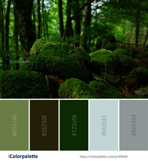 forest green color palette - Dimensional Blawker Pictures Gallery