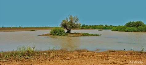 ** The Diamantina River / Channel Country Qld. ** Foto & Bild | australia & oceania, australia ...