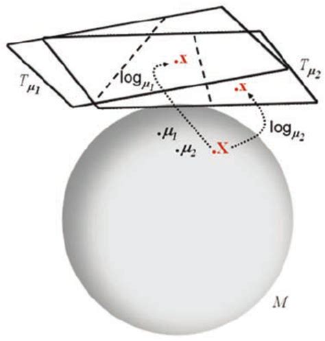 Classification on a Riemannian manifold. The sample X is projected to... | Download Scientific ...