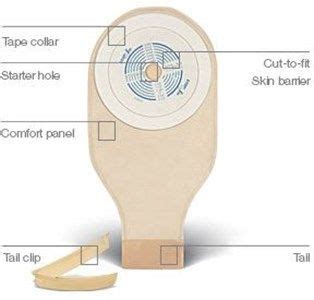 colostomy bag care : The initial phase in looking after your stoma is choosing the correct ...