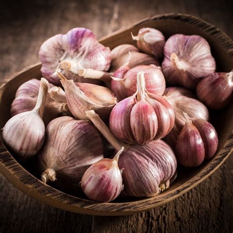 What Are The Different Types of Garlic?