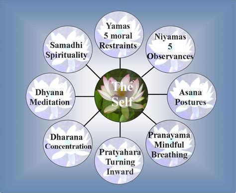 The Eight Limb of Yoga SAMADHI - Bliss or Enlightenment - Yoga with Najah