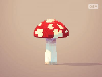 Mushroom by J.R. Schmidt on Dribbble