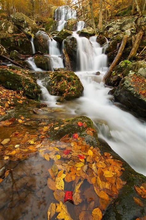 Autumn At Dark Hollow Falls | Shenandoah National Park | Virginia ...