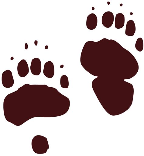 Bear-tracks clipart 20 free Cliparts | Download images on Clipground 2024