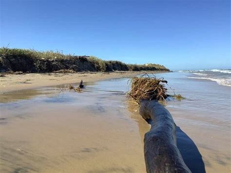 Boca Chica State Park (Brownsville) - 2019 All You Need to Know BEFORE You Go (with Photos ...