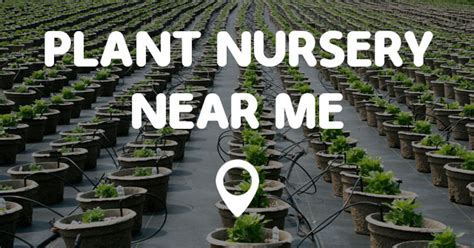 PLANT NURSERY NEAR ME - Points Near Me