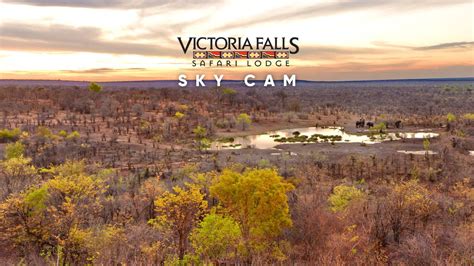 New Wildlife Stream: Victoria Falls Safari Lodge - Wildlife Sightings ...