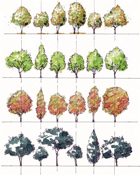 My tracing files. Trees. Ink and markers on tracing paper. | Landscape architecture drawing ...