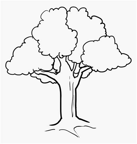 Tree Clipart Black And White Png - Cute Tree Coloring Pages, Transparent Png - kindpng