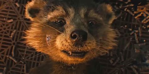 "And Me, Rocket": Heartbreaking Guardians of the Galaxy 3 Clip Reveals ...