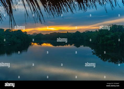 A magic sunrise in the Amazon Rainforest inside Yasuni national park ...