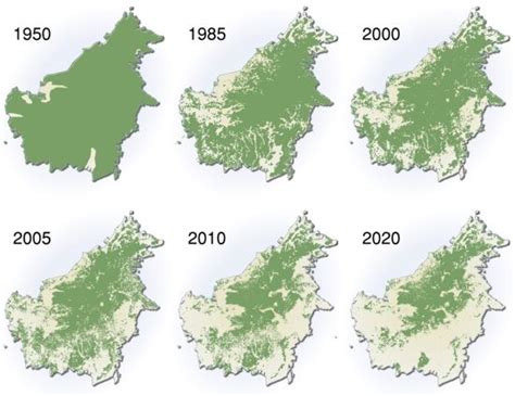 History - Deforestation on Brazil's Amazon Rainforest